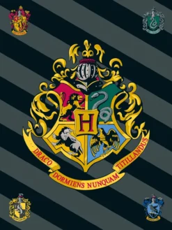 Harry Potter Kuscheldecke aus Fleece 100x150 cm