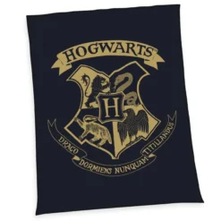 Harry Potter Wellsoft-Flauschdecke Größe 150x200 cm