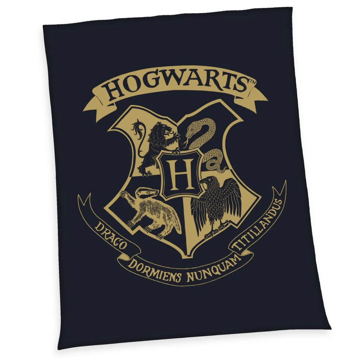 Harry Potter Wellsoft-Flauschdecke Größe 150x200 cm