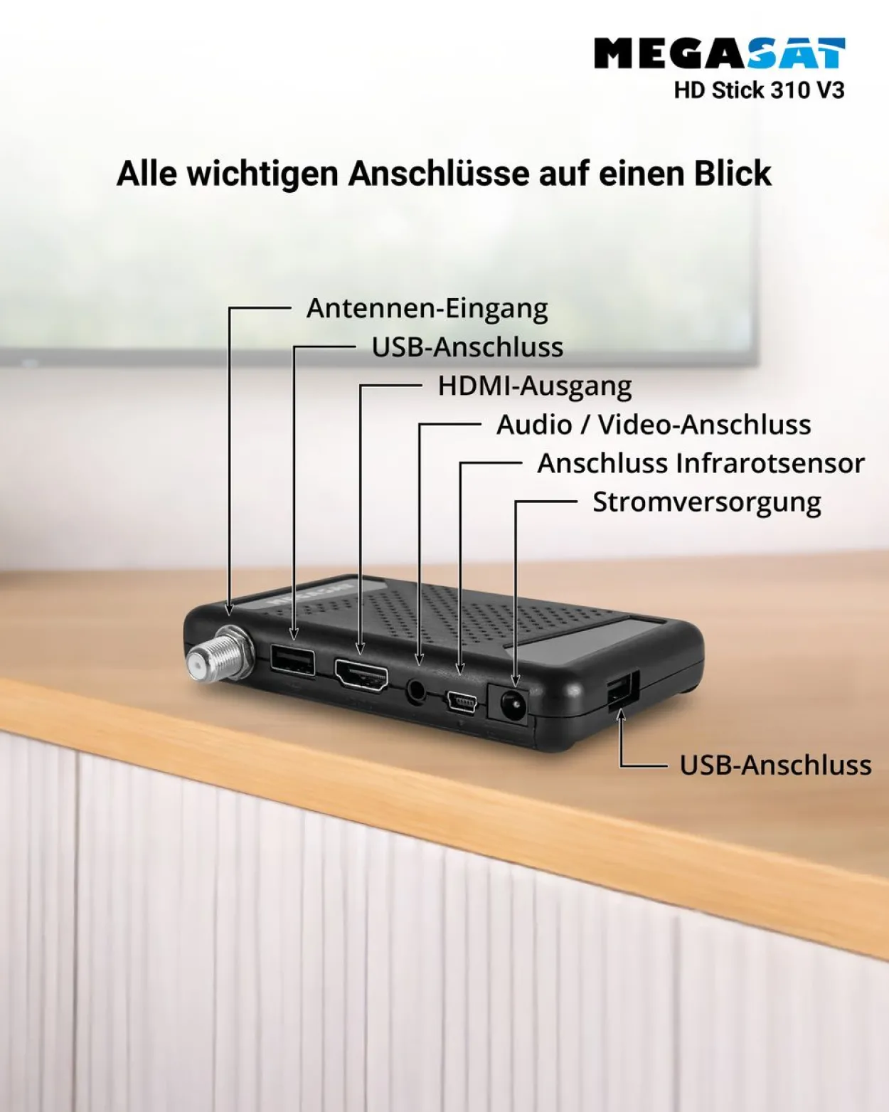 HD Stick 310 V3