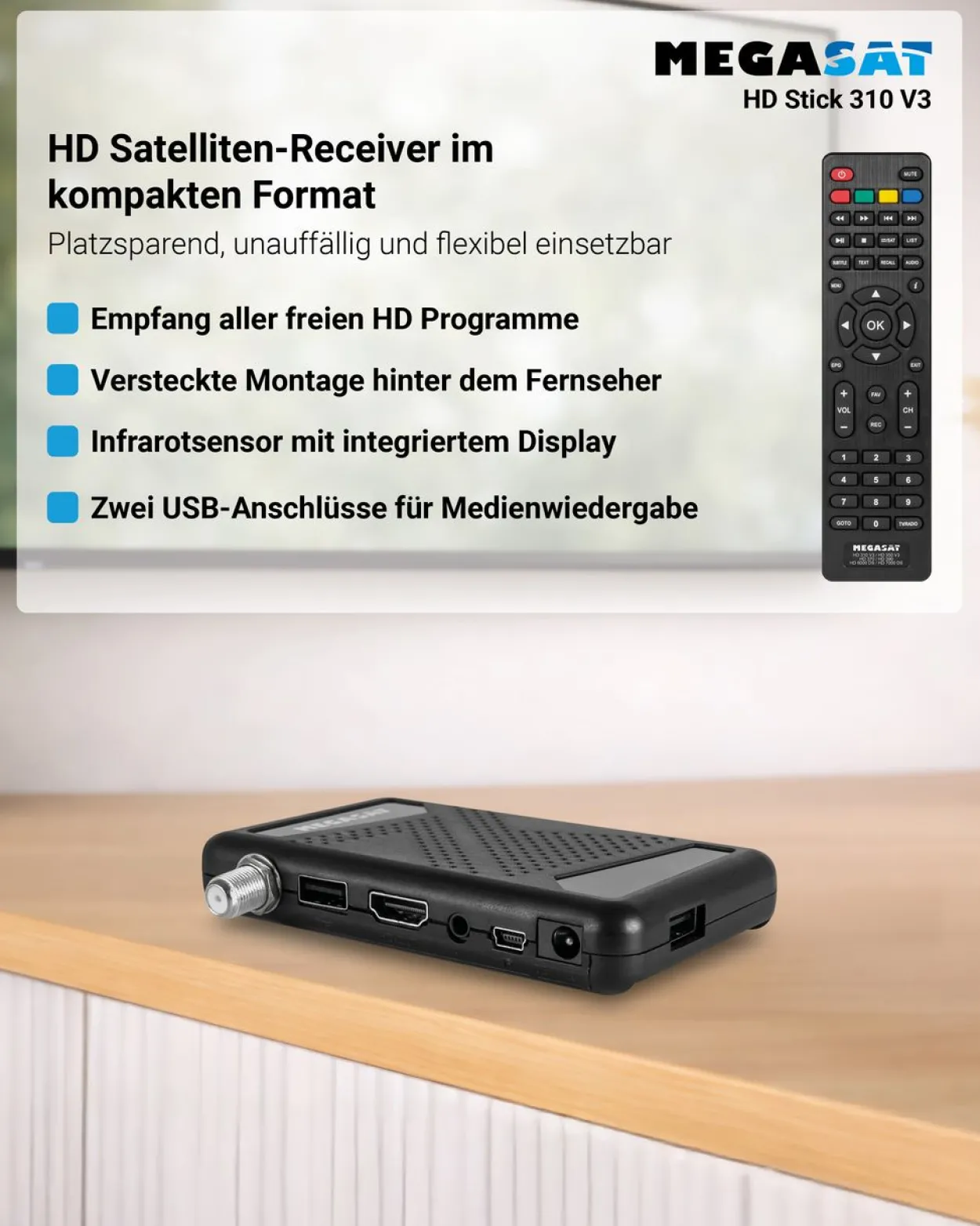 HD Stick 310 V3
