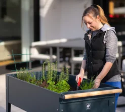 Herstera Garden Kräuterfabrik Swivel anthrazit