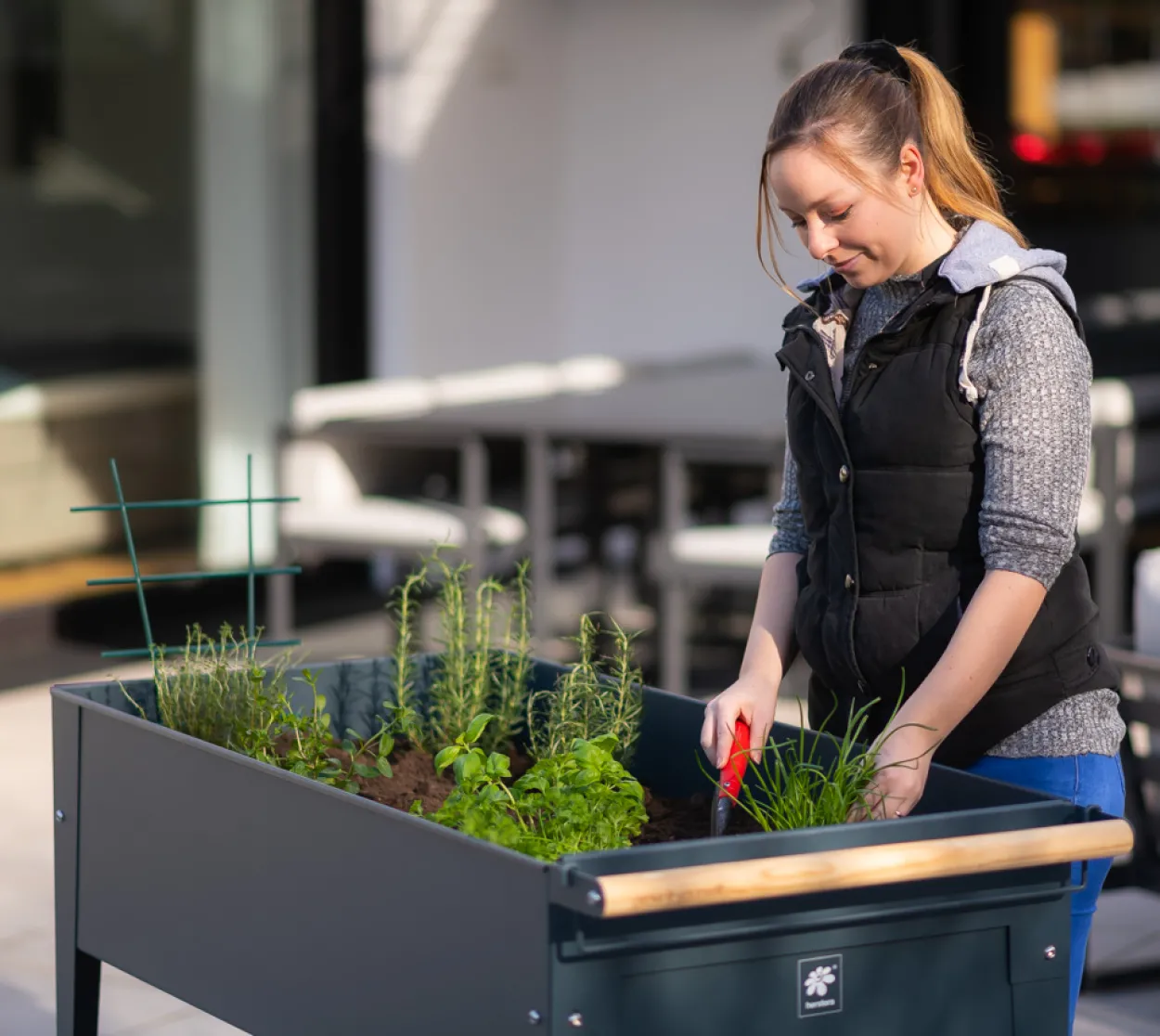 Herstera Garden Kräuterfabrik Swivel anthrazit