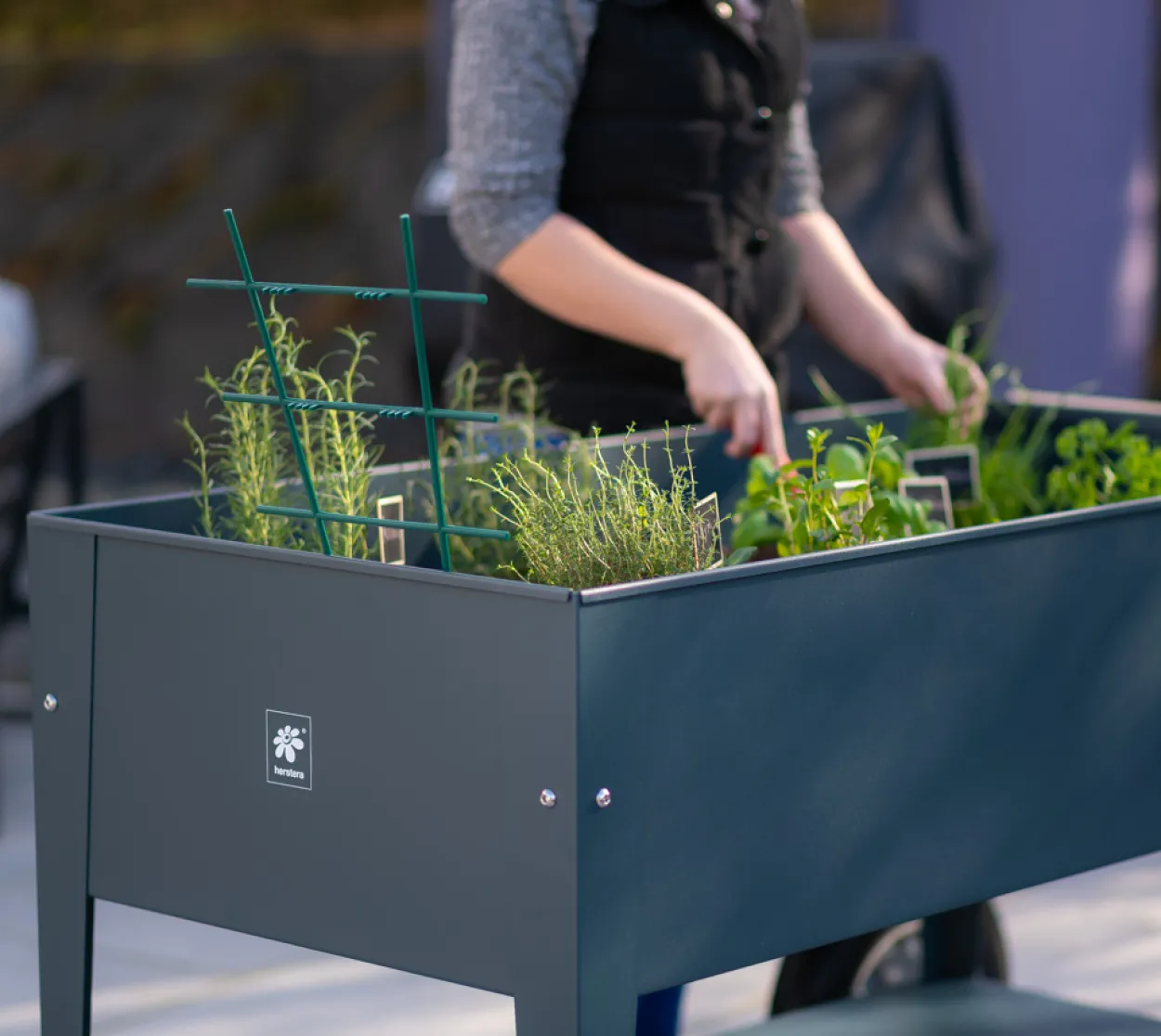 Herstera Garden Kräuterfabrik Swivel anthrazit