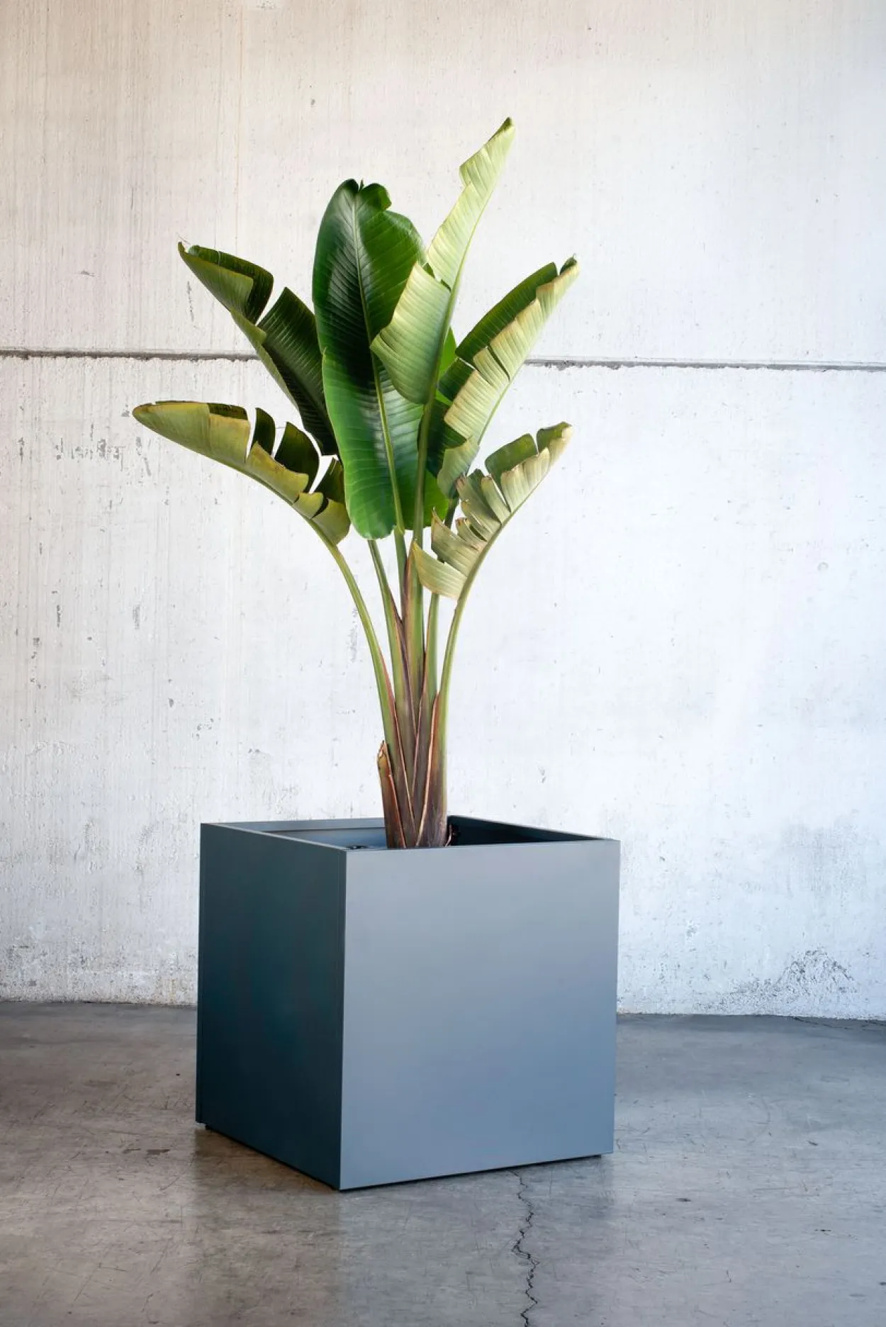 Herstera Garden Pflanzkasten 70x70x70 anthrazit