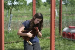 Hühnerauslauf XL Rot, EZ Chicken Home 12,24 m² Hergestellt in EU