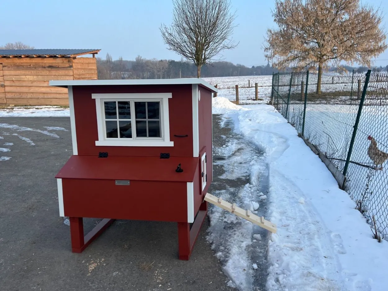 Hühnerstall Effektive