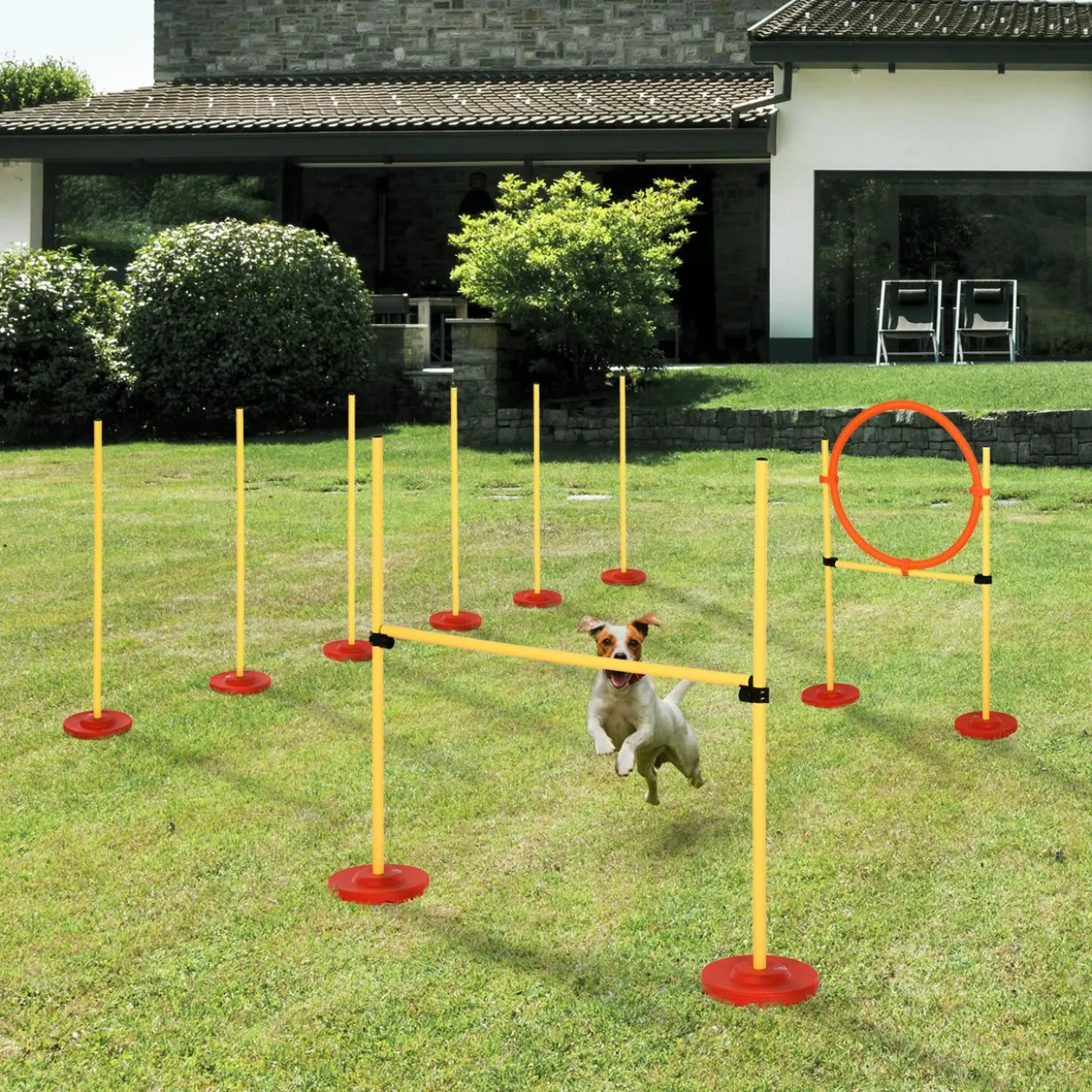 Hunde Agility Set 3-in-1-Training Haustiere Inklusive Tasche
