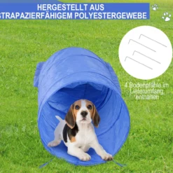 Hunde-Agility-Trainingsgeräte, Hunde-Agility-Parcours, Hund Agility Set