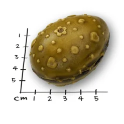 Hunde-Überraschungsei Veggie Edition 5 x 60g