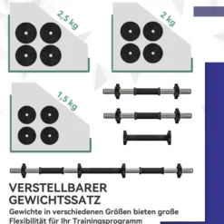 2-in-1 Hantel Set, 25 kg verstellbar Dumbbell Set mit 12 Hantelscheiben Schwarz