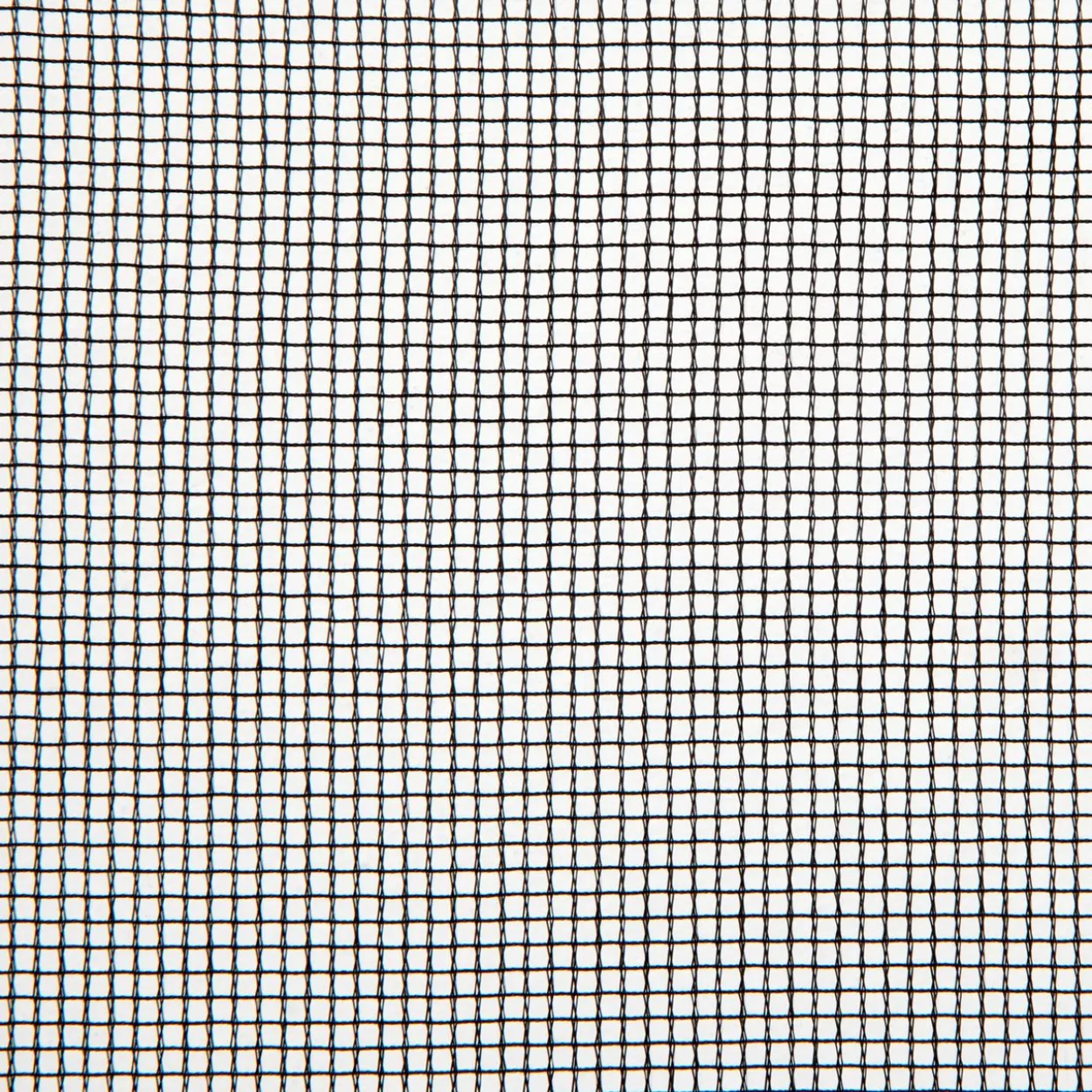 IS Plus Fliegengitter 100x100cm A.