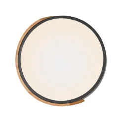 JUST LIGHT. LED Deckenleuchte BILA, 1xLED-Board/24W, 3000K, Ø32cm, Schwarz