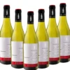 KARAKTER Chardonnay DOC - 6er Karton
