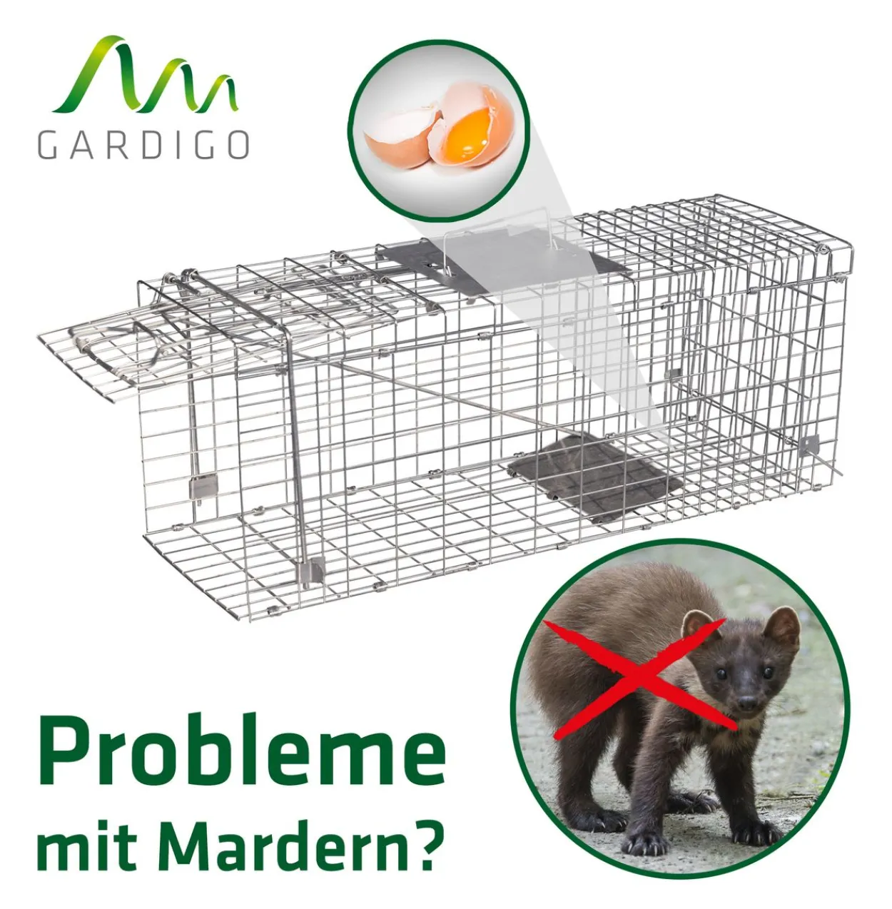 Katzen-Marder-Lebendfalle Käfig