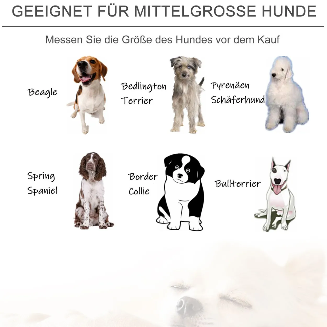Katzensofa Haustiersofa Hundesofa Samt moderne Hellgrau