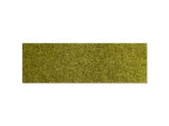 Keilbach Schuhabstreifer, 87 x 28 cm, grün
