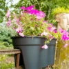 KHW Geländerblumentopf Flowerclip XL, 2er Set, anthrazit