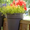 KHW Geländerblumentopf Flowerclip, 3er Set, anthrazit