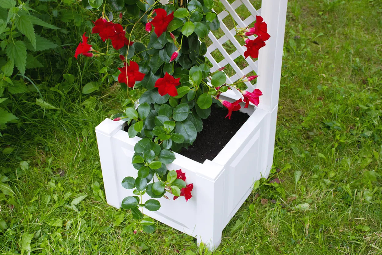 KHW Pflanzkasten 43 cm mit Spalier, weiß