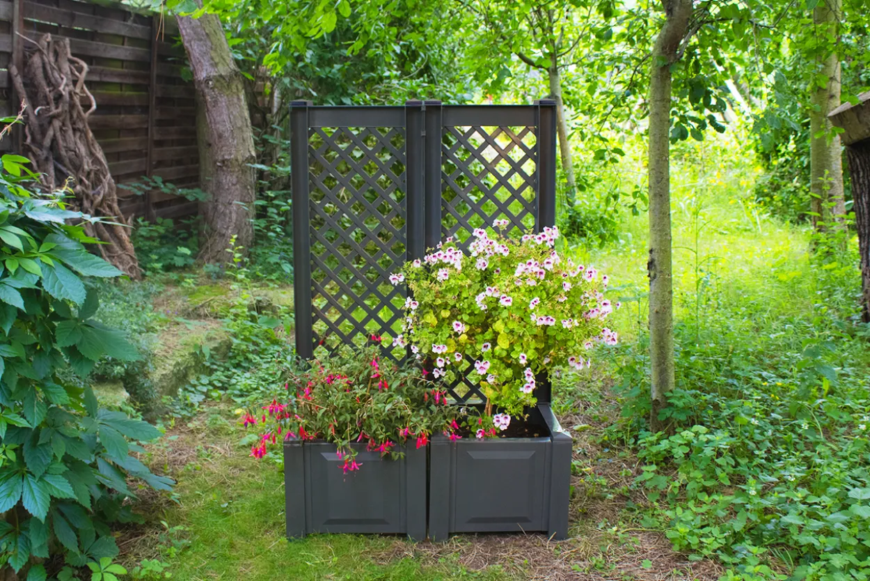 KHW Pflanzkasten 43 cm mit Spalier, anthrazit - 2er Set