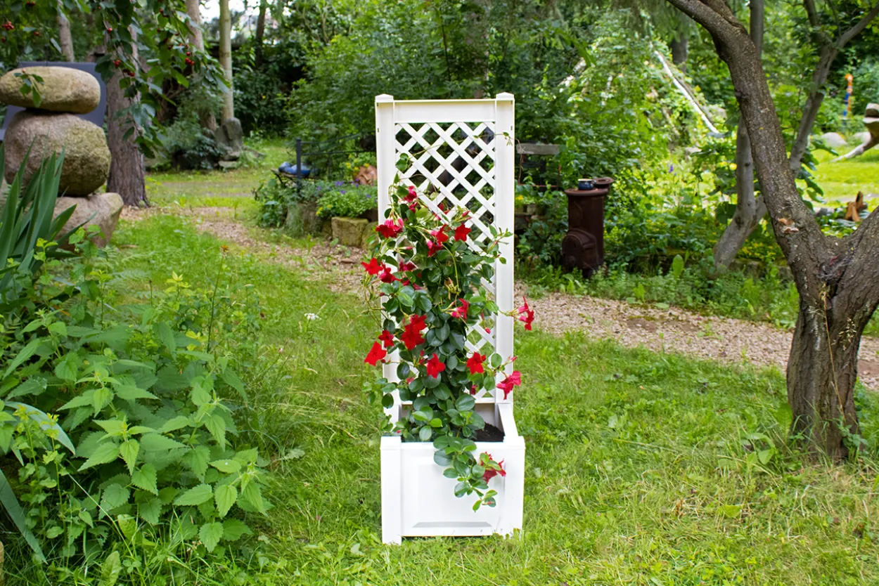 KHW Pflanzkasten mit Spalier 43 cm, weiß - 2er Set