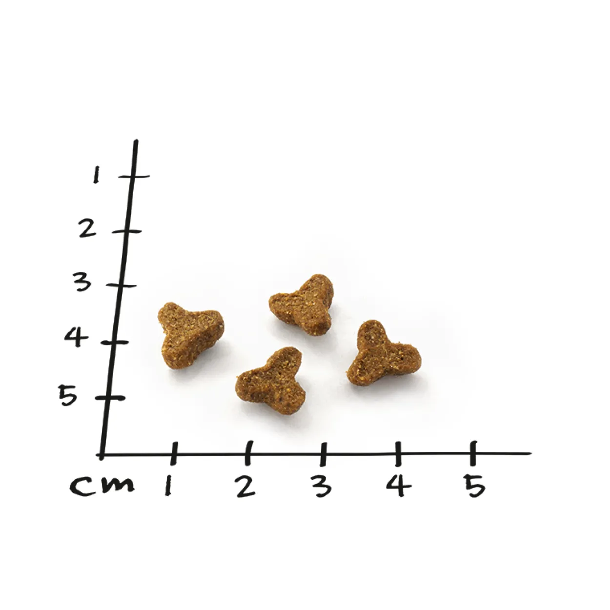 Knabberspaß Gelenke 5 x 50g