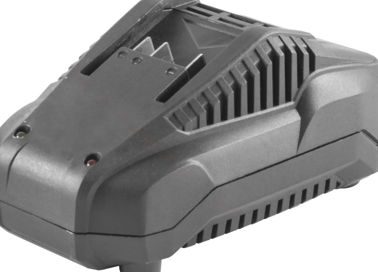 Ladegerät LG 20-35
