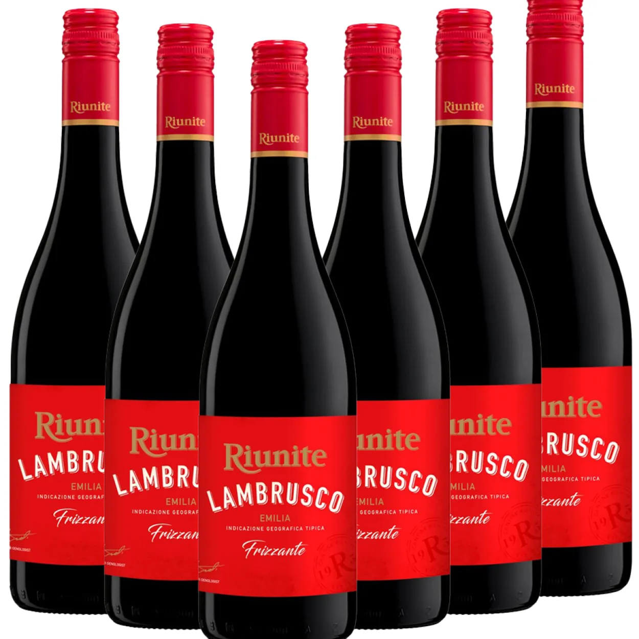 LAMBRUSCO EMILIA IGT ROSSO 0,75 l