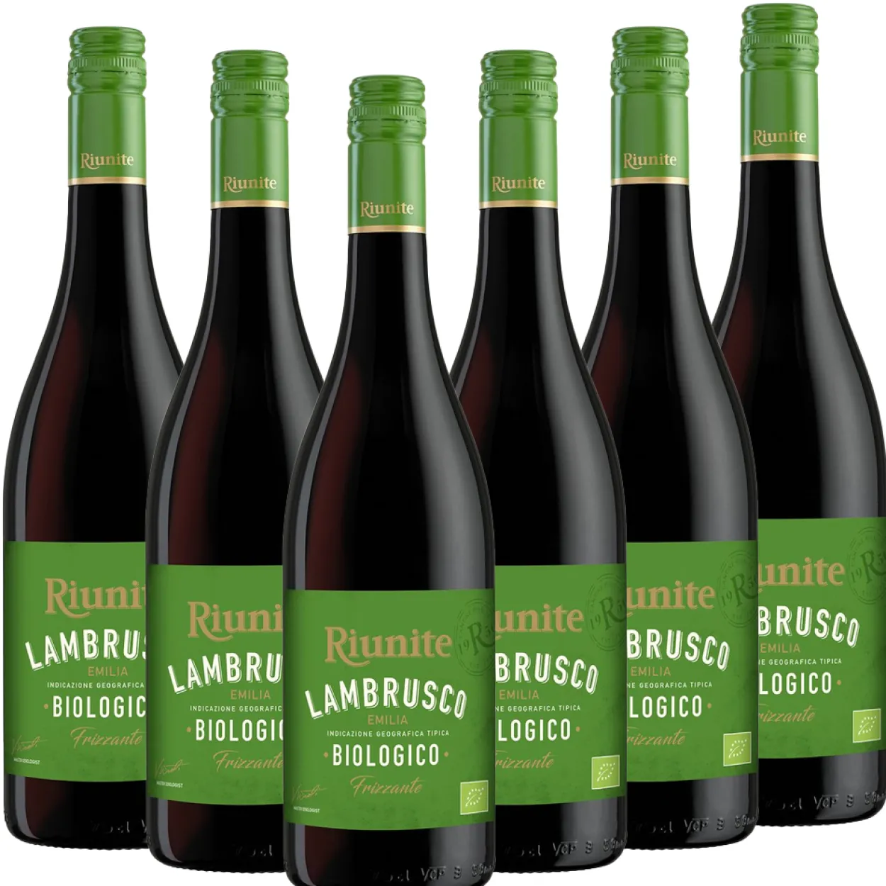 LAMBRUSCO ROSSO BIO 0,75 l