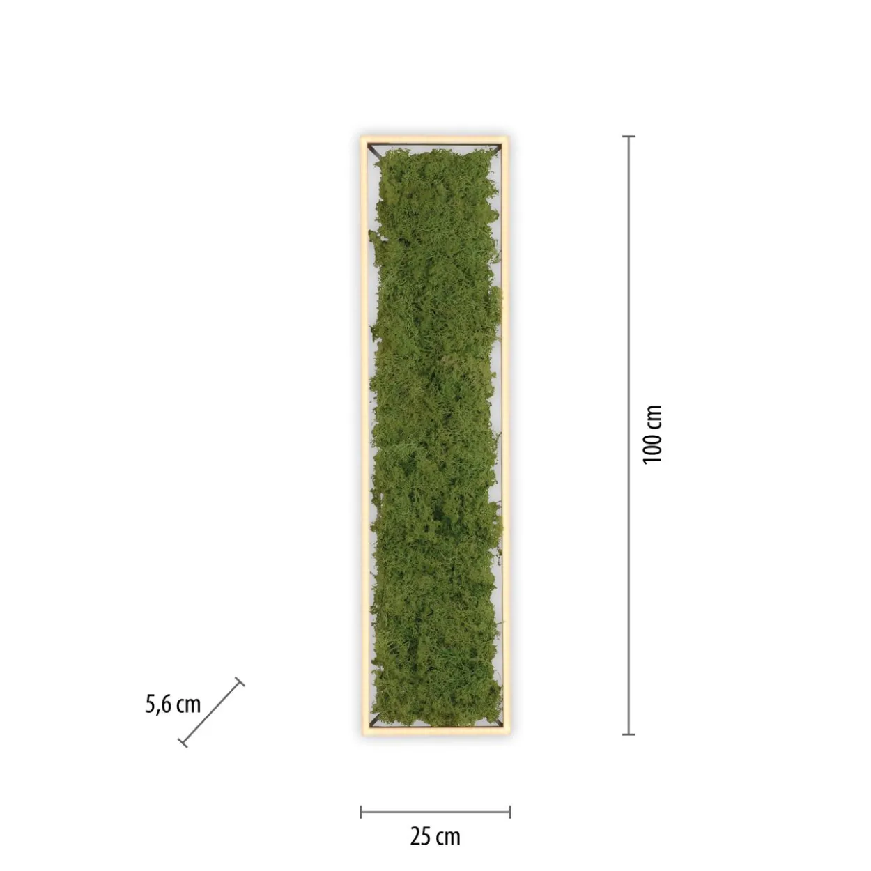 LED Deckenleuchte GREEN KNUT, mit echtem Moos, dimmbar, 3000 K