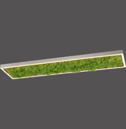 LED Deckenleuchte GREEN KNUT, mit echtem Moos, dimmbar, 3000 K
