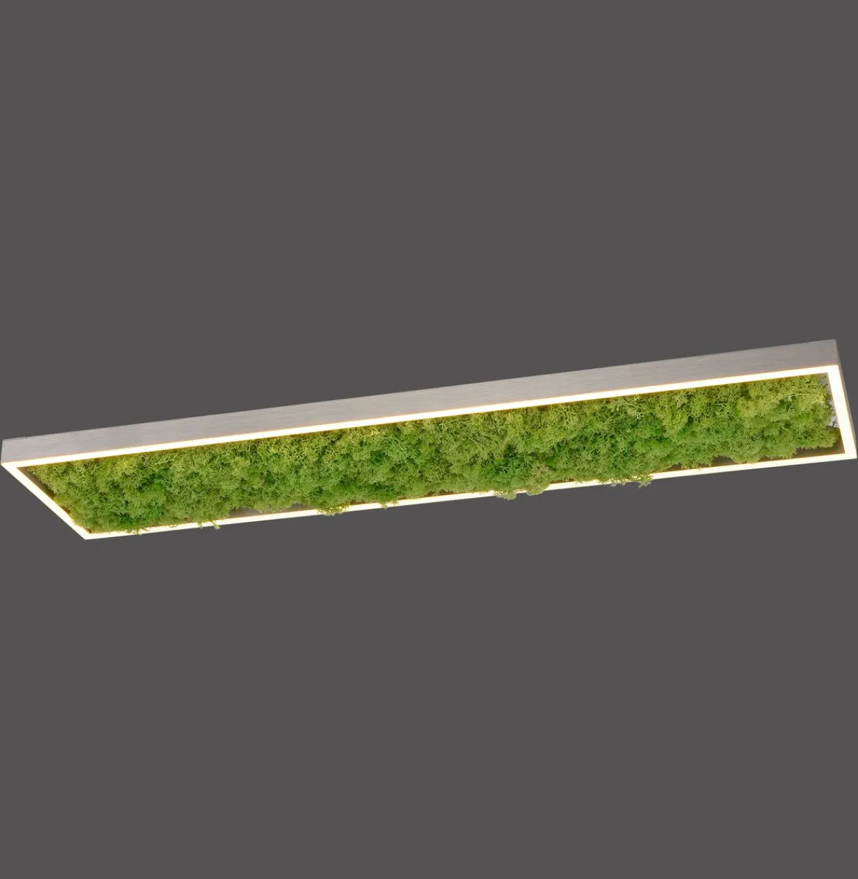 LED Deckenleuchte GREEN KNUT, mit echtem Moos, dimmbar, 3000 K