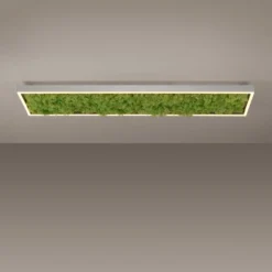LED Deckenleuchte GREEN KNUT, mit echtem Moos, dimmbar, 3000 K