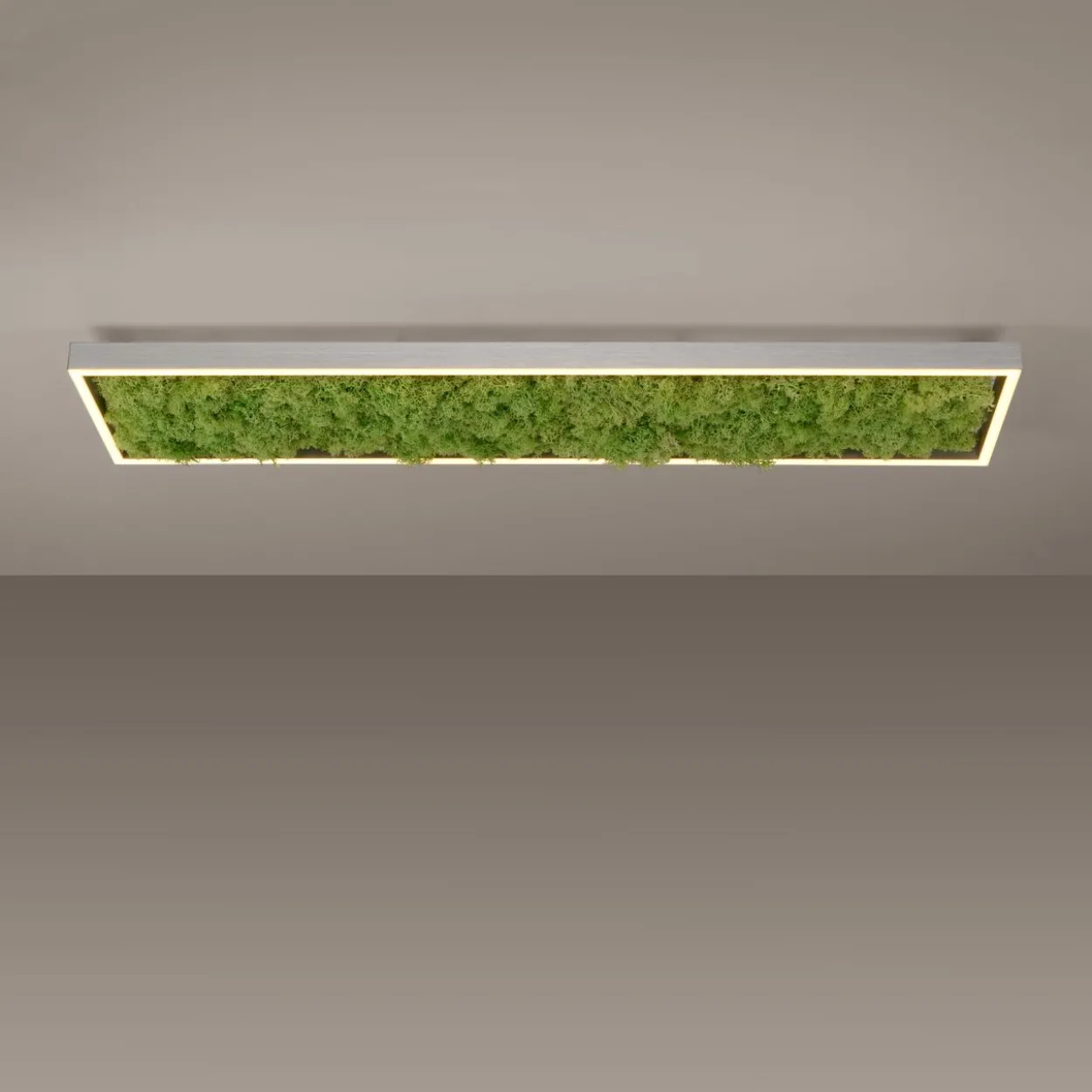 LED Deckenleuchte GREEN KNUT, mit echtem Moos, dimmbar, 3000 K