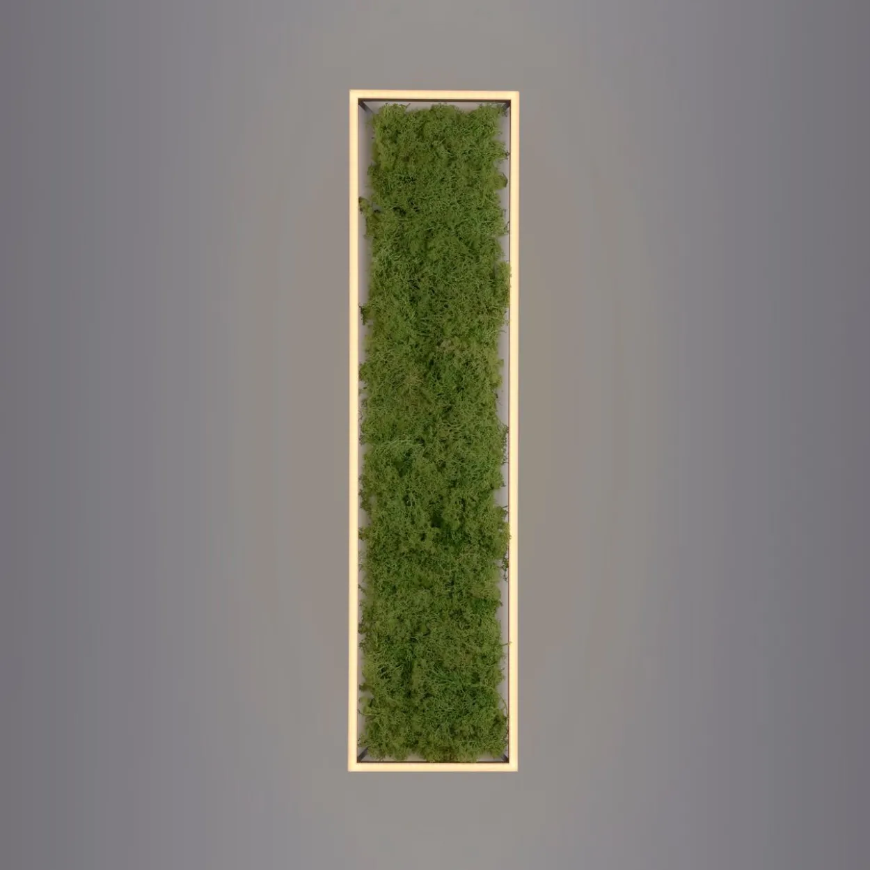 LED Deckenleuchte GREEN KNUT, mit echtem Moos, dimmbar, 3000 K