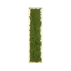 LED Deckenleuchte GREEN KNUT, mit echtem Moos, dimmbar, 3000 K