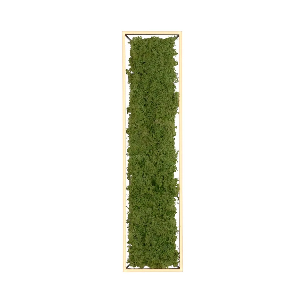 LED Deckenleuchte GREEN KNUT, mit echtem Moos, dimmbar, 3000 K
