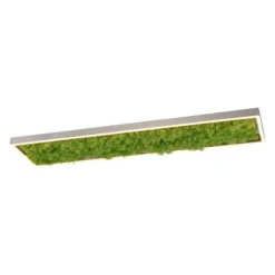 LED Deckenleuchte GREEN KNUT, mit echtem Moos, dimmbar, 3000 K