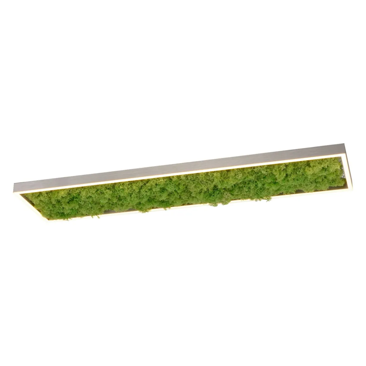 LED Deckenleuchte GREEN KNUT, mit echtem Moos, dimmbar, 3000 K