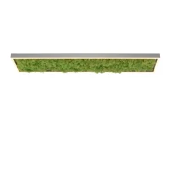 LED Deckenleuchte GREEN KNUT, mit echtem Moos, dimmbar, 3000 K