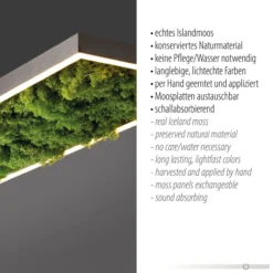 LED Deckenleuchte GREEN KNUT, mit echtem Moos, dimmbar, 3000 K