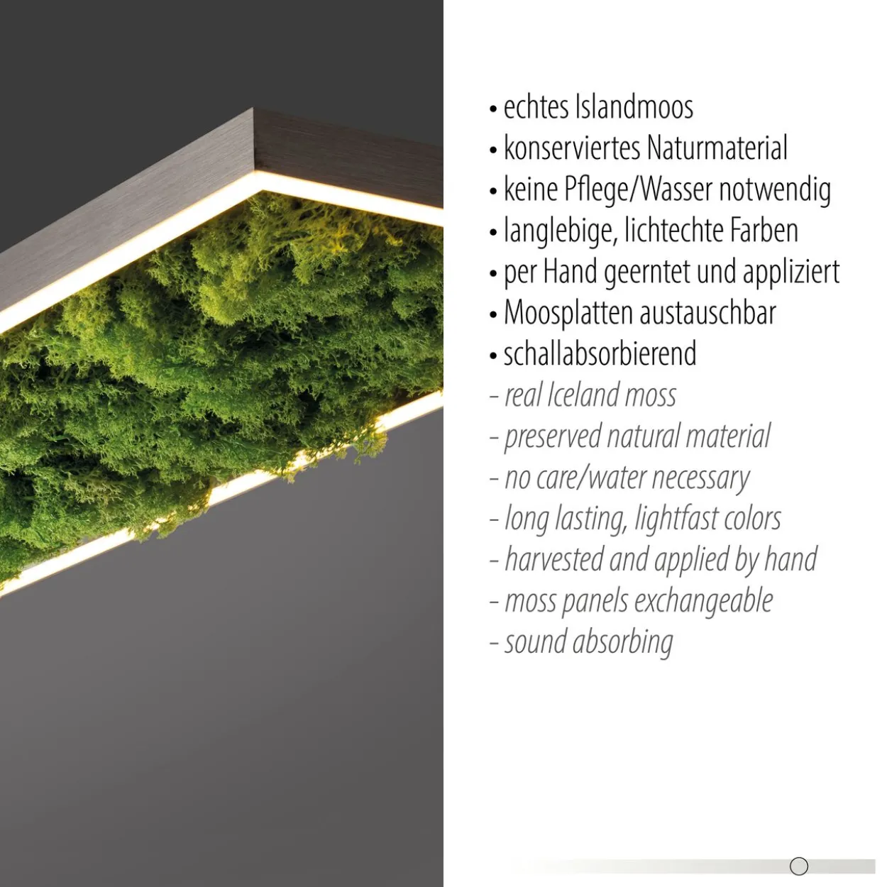 LED Deckenleuchte GREEN KNUT, mit echtem Moos, dimmbar, 3000 K