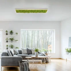 LED Deckenleuchte GREEN KNUT, mit echtem Moos, dimmbar, 3000 K