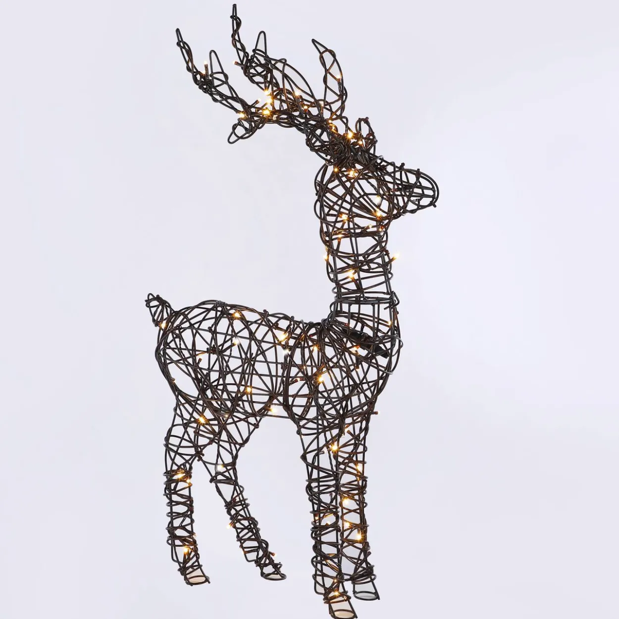 LED Rentier