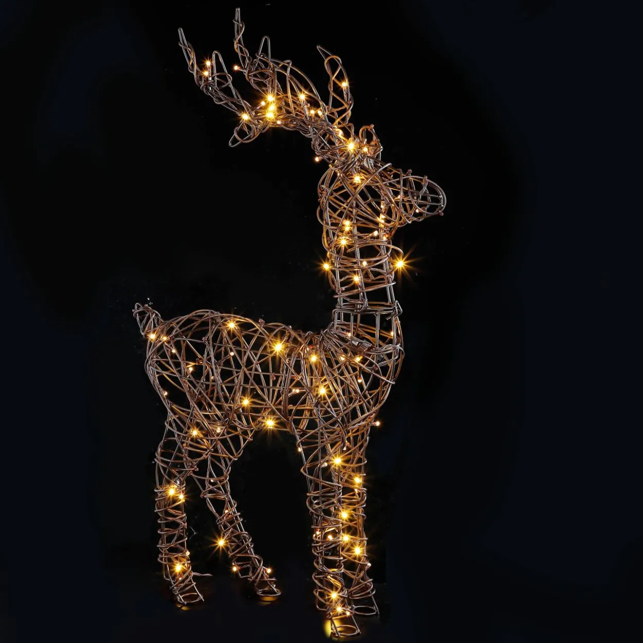 LED Rentier