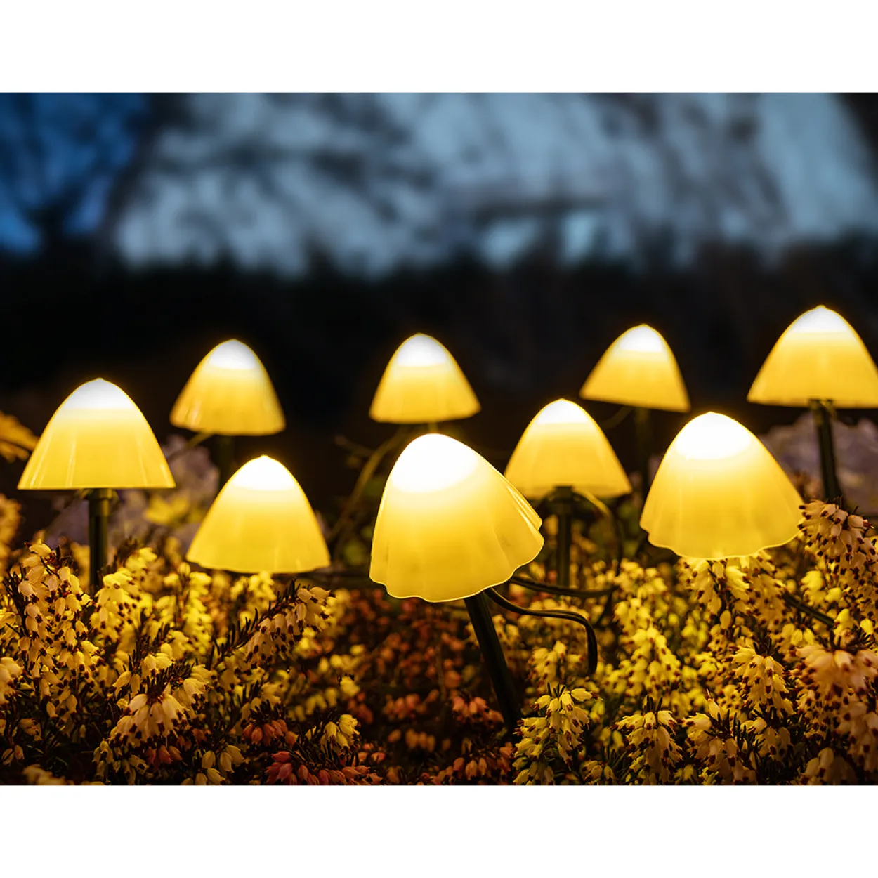 LED-Solar-Lichterkette-Pilze, warmweiß