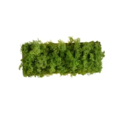 LED Wandleuchte GREEN CARLO, mit echtem Moos, 3000 K