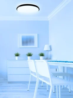 LED Wand und Deckenleuchten Taro+ 40 RGB