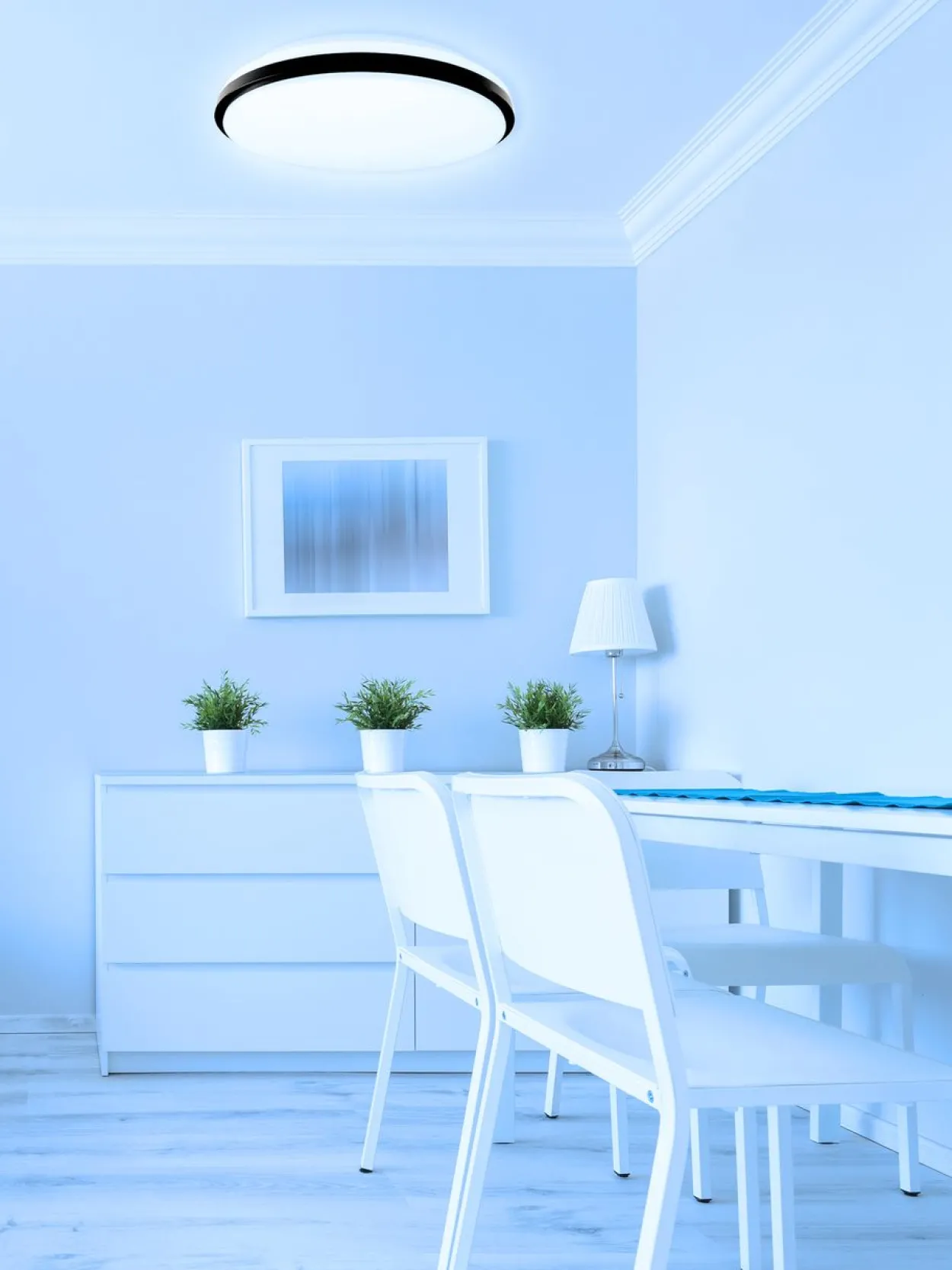 LED Wand und Deckenleuchten Taro+ 40 RGB